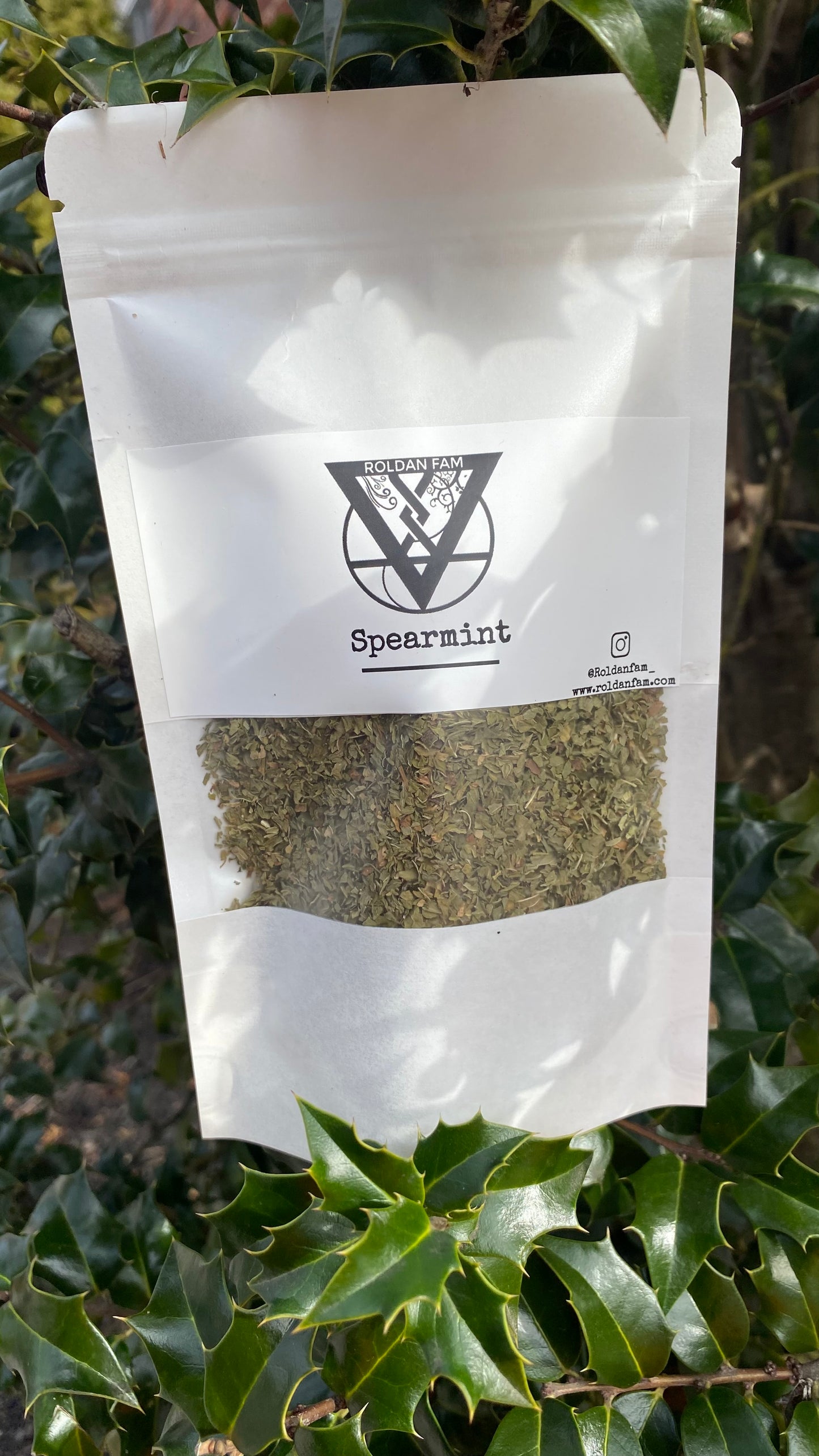 Spearmint- Loose Leaf