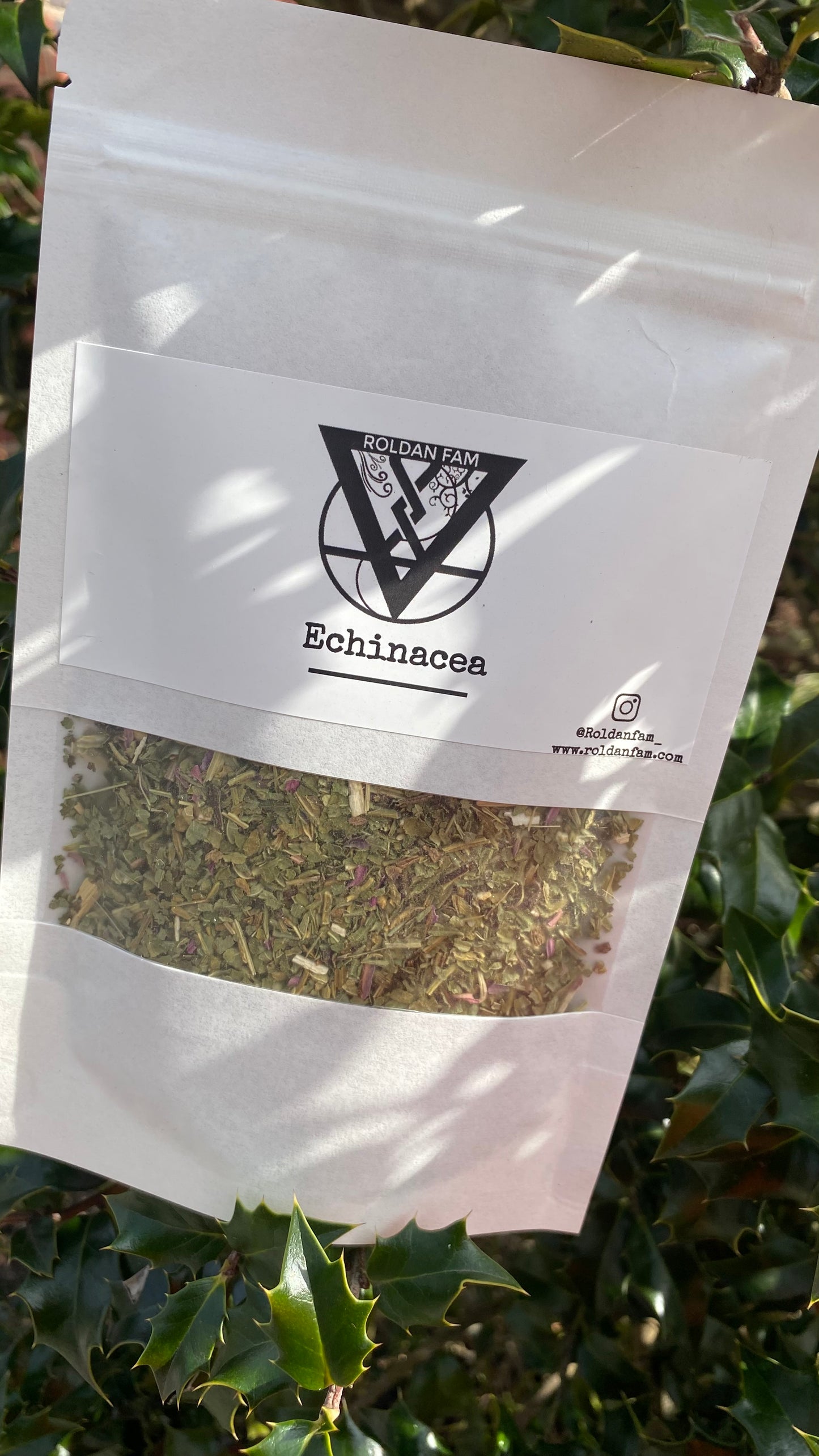 Echinacea- Loose Leaf