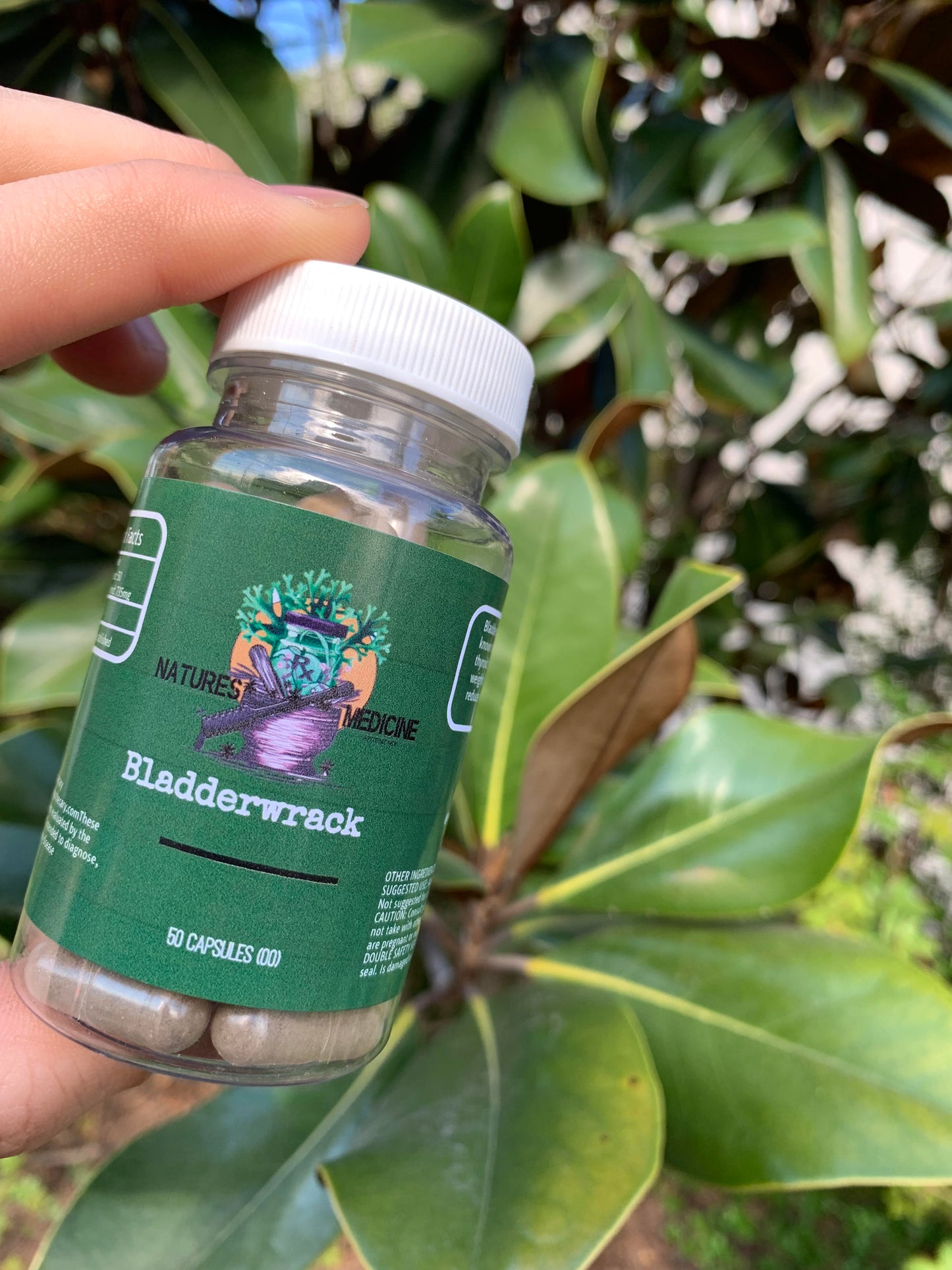 Bladderwrack - 50 Vegan Capsules