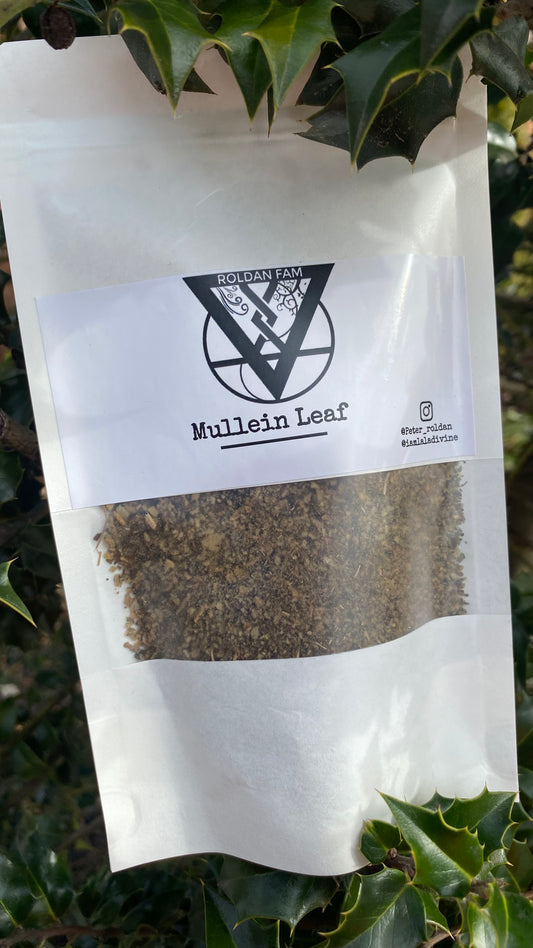 Mullein- Loose Leaf