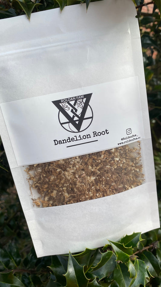Dandelion Root