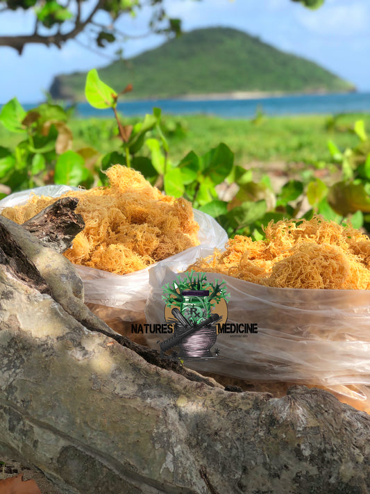 24K Gold Raw Seamoss